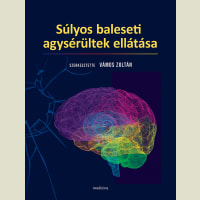 Súlyos baleseti agysérültek ellátása